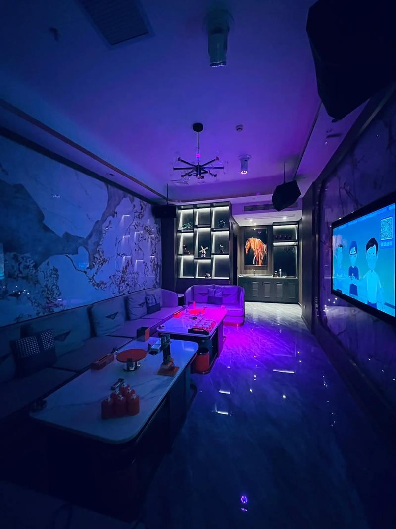 宁波商务KTV新玩法【商务KTV怎么玩】-镇海区ktv预订